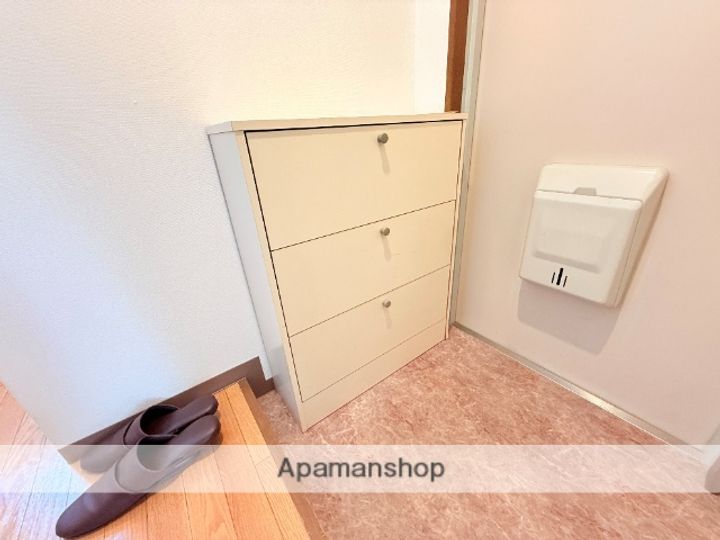 大阪府東大阪市三島1丁目の賃貸マンションの内装