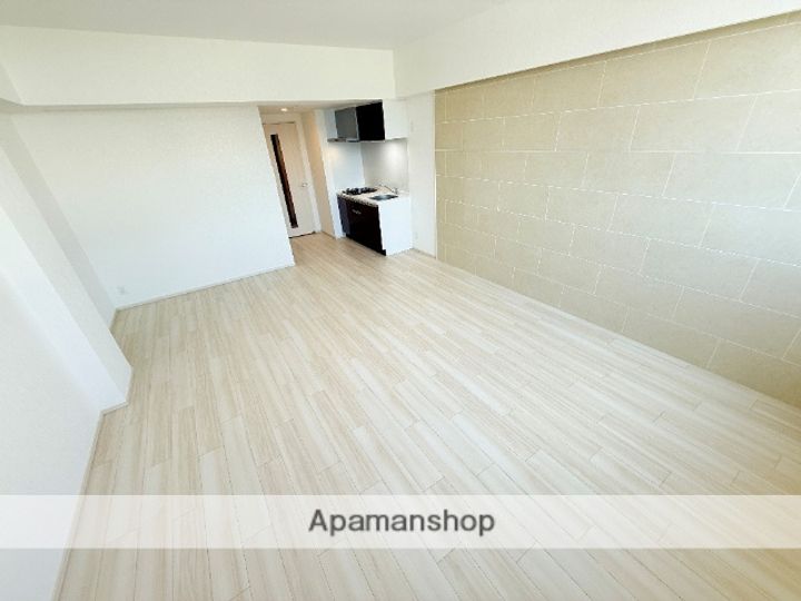 大阪府東大阪市長田中1丁目の賃貸マンションの内装