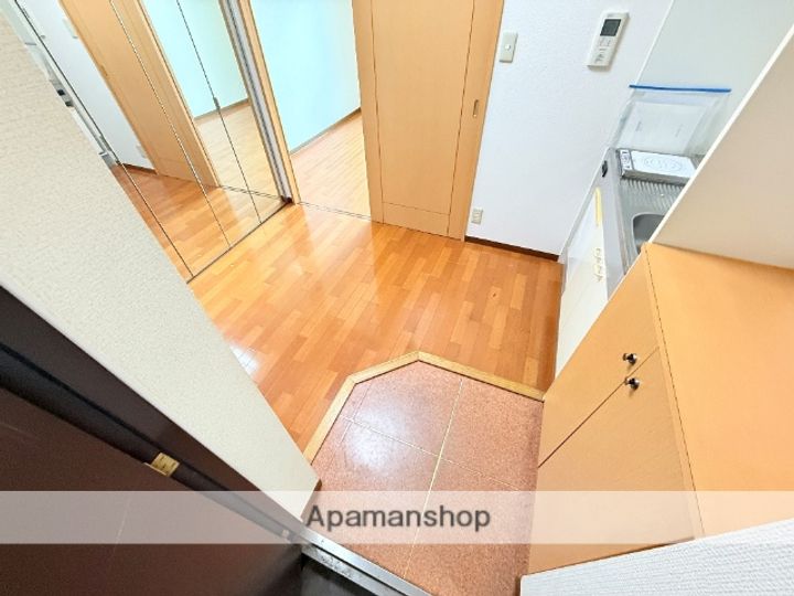 大阪府東大阪市横枕西の賃貸マンションの玄関