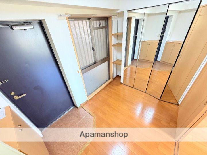 大阪府東大阪市横枕西の賃貸マンション306の内装