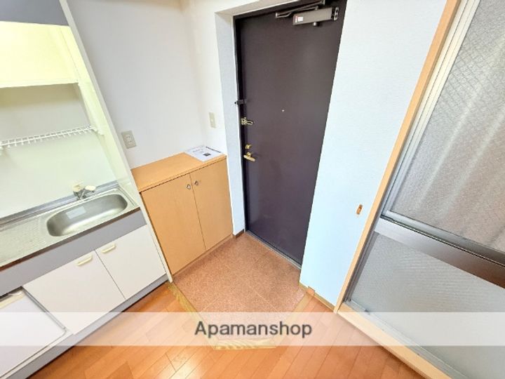 大阪府東大阪市横枕西の賃貸マンション306の内装