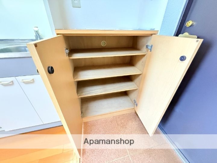 大阪府東大阪市横枕西の賃貸マンション306の内装