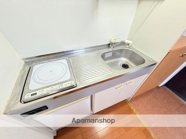 大阪府東大阪市横枕西の賃貸マンション306のキッチン