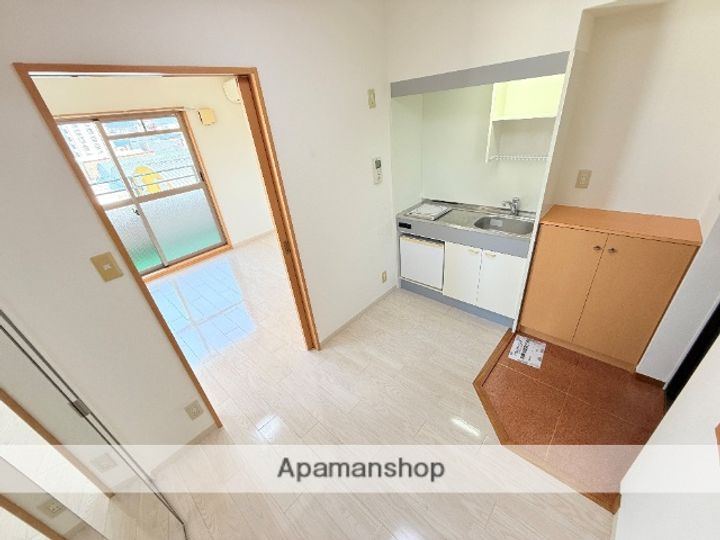 大阪府東大阪市横枕西の賃貸マンションの内装