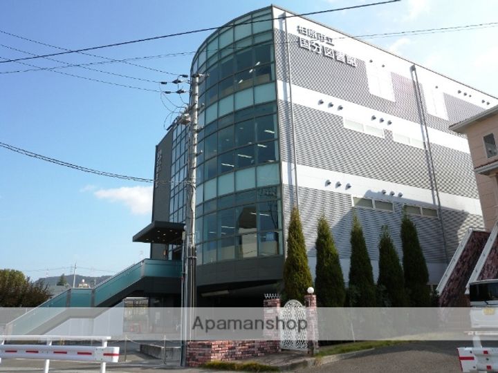 大阪府柏原市国分本町7丁目の賃貸マンションの周辺