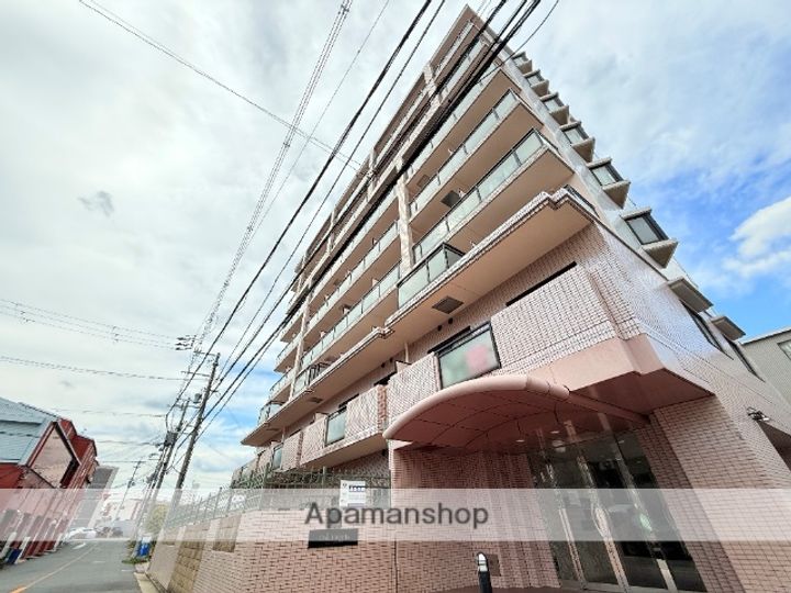 大阪府東大阪市川俣1丁目の賃貸マンションの外観