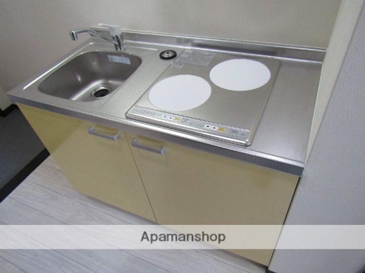 大阪府東大阪市岩田町4丁目の賃貸マンションのキッチン