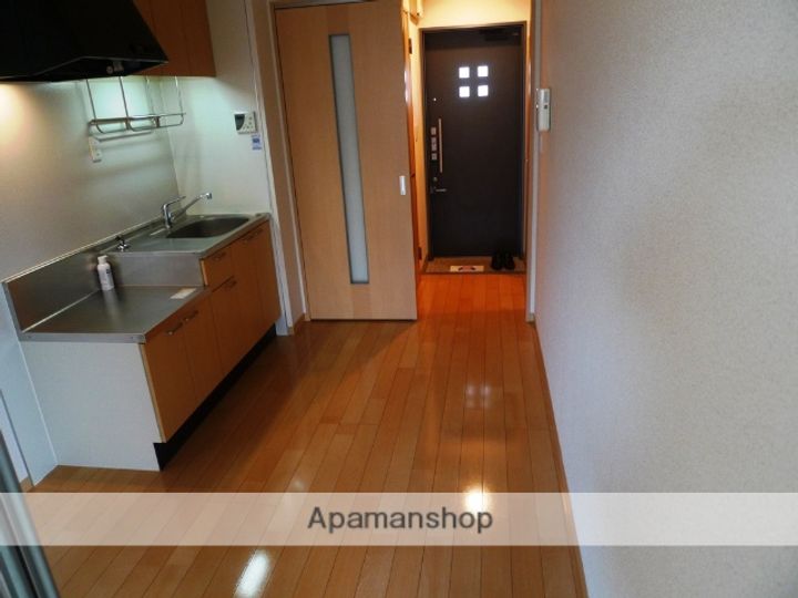 エバーグリーン若江岩田302の内装