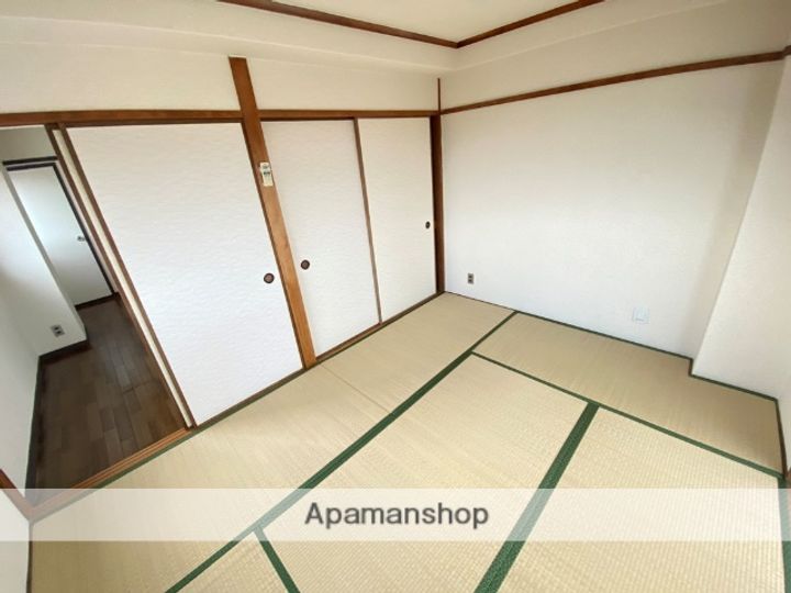 メゾン大和中小阪の内装