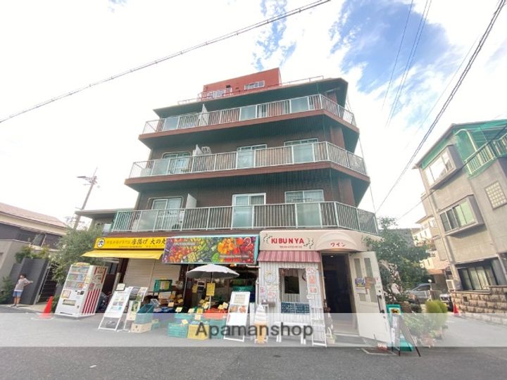 メゾン大和中小阪の外観