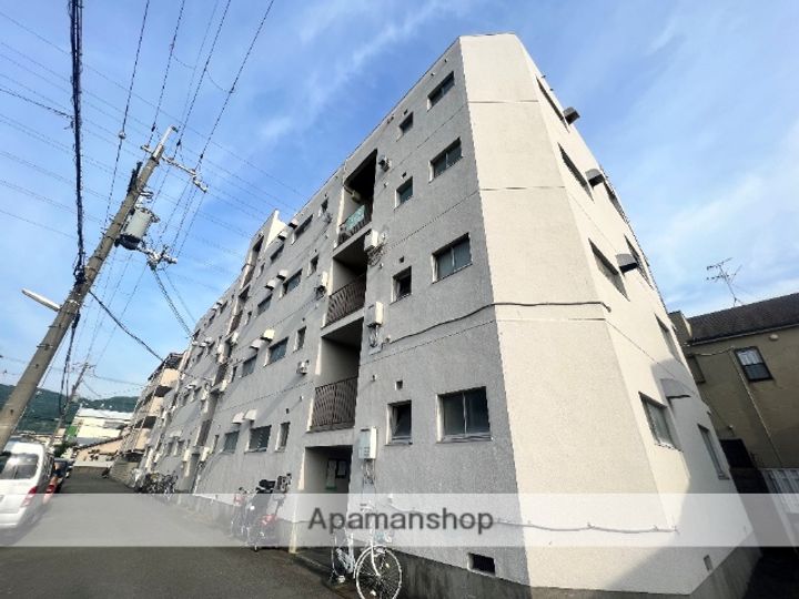 大阪府東大阪市池島町3丁目の賃貸マンションの外観