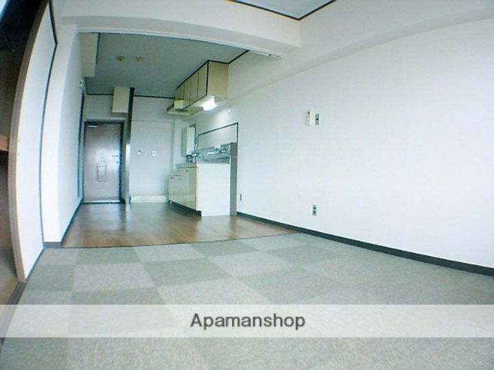 兵庫県西宮市上甲子園1丁目の賃貸マンションの内装