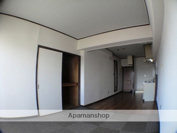 兵庫県西宮市上甲子園1丁目の賃貸マンションの内装