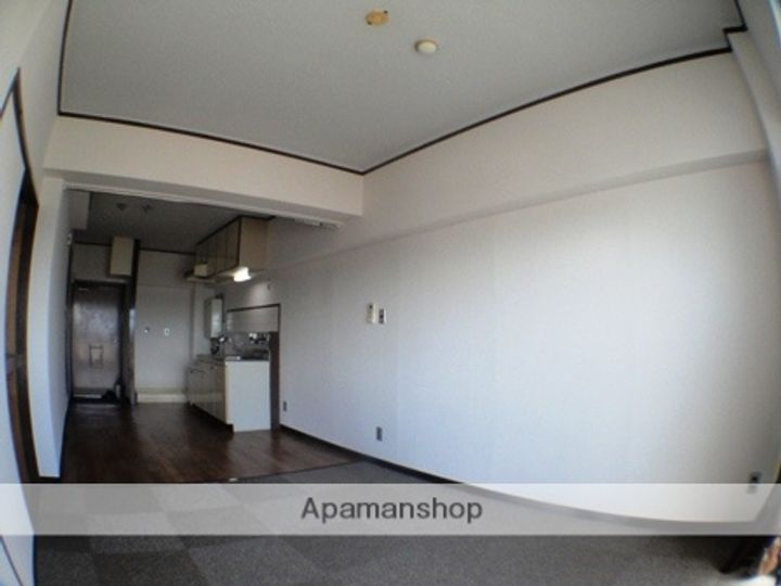 兵庫県西宮市上甲子園1丁目の賃貸マンションの居間