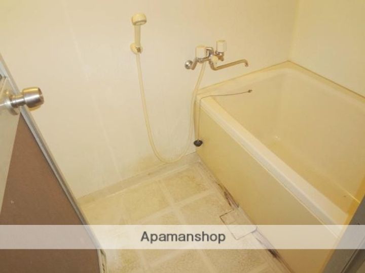 友田コーポラス163の風呂