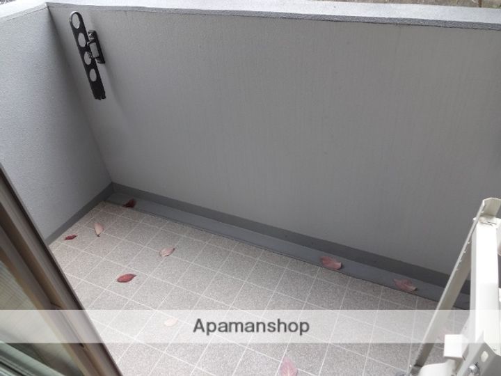 マーヴェラスのその他画像