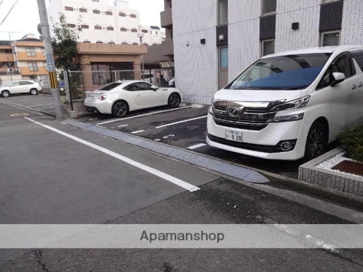 マーヴェラスのその他画像