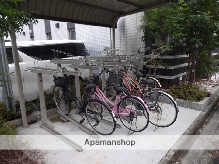 マーヴェラスのその他画像