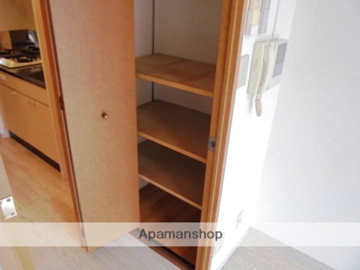 大阪府高槻市城西町の賃貸マンションの内装