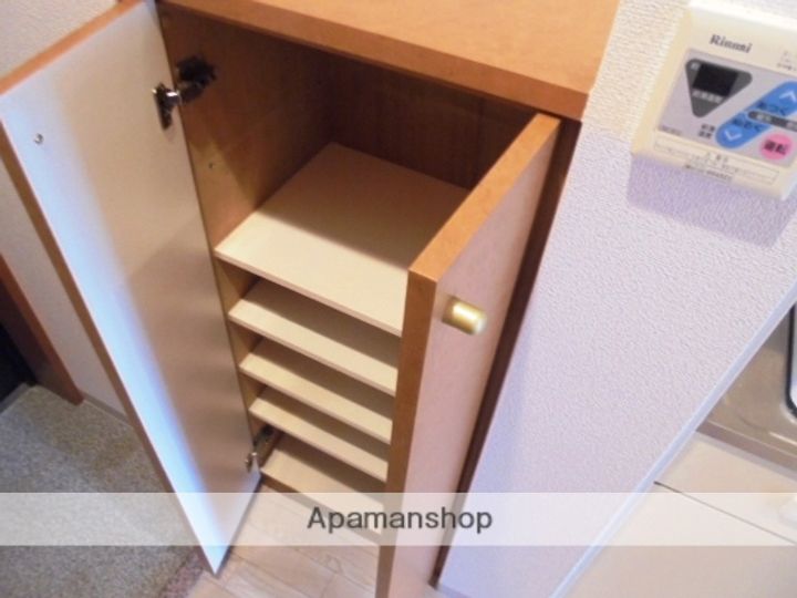 大阪府高槻市城西町の賃貸マンションの内装