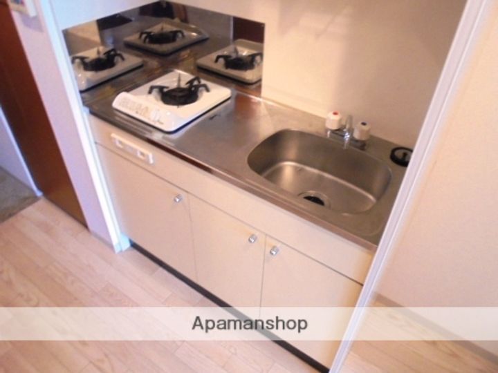 大阪府高槻市城西町の賃貸マンションのキッチン