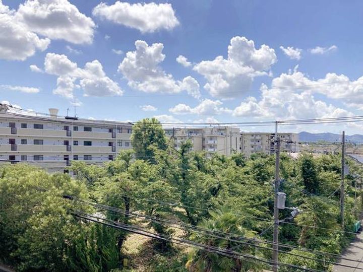 ビレッジハウス招提2号棟0201の内装