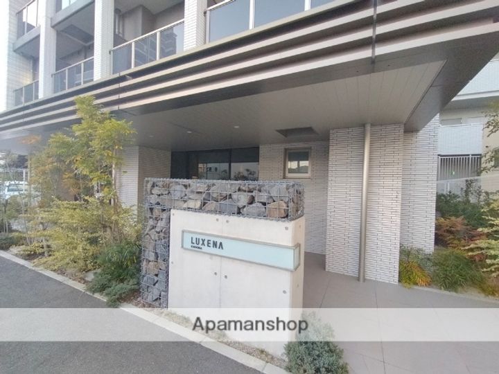 LUXENA KADOMAのその他画像