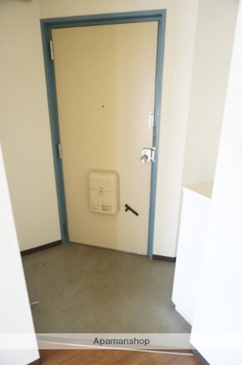 大阪府高槻市芝生町4丁目の賃貸マンション305の玄関