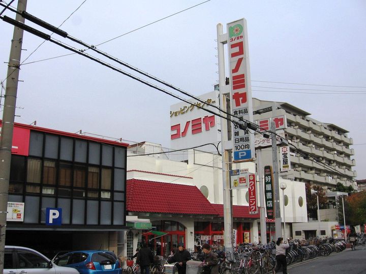 レオパレスセレンコート高井田の周辺