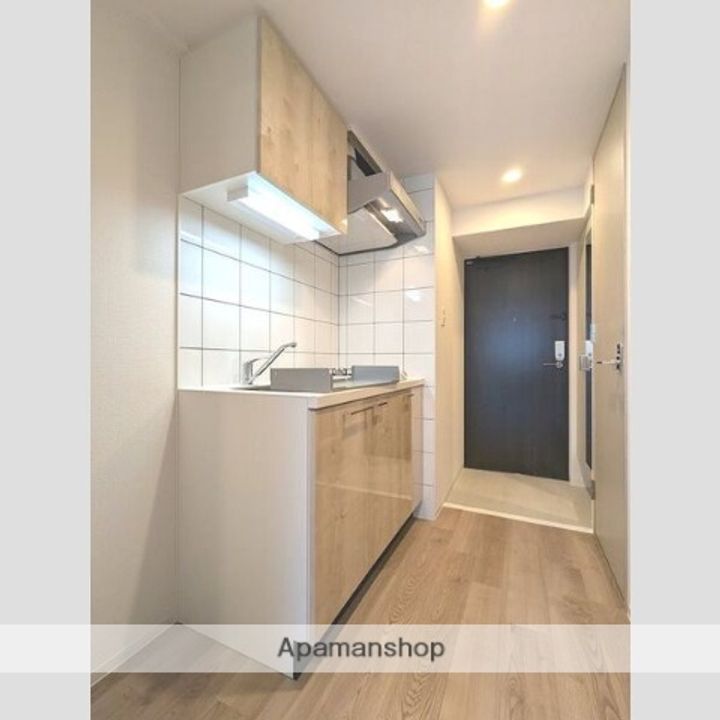 大阪府大阪市東淀川区東中島2丁目の賃貸マンションのキッチン