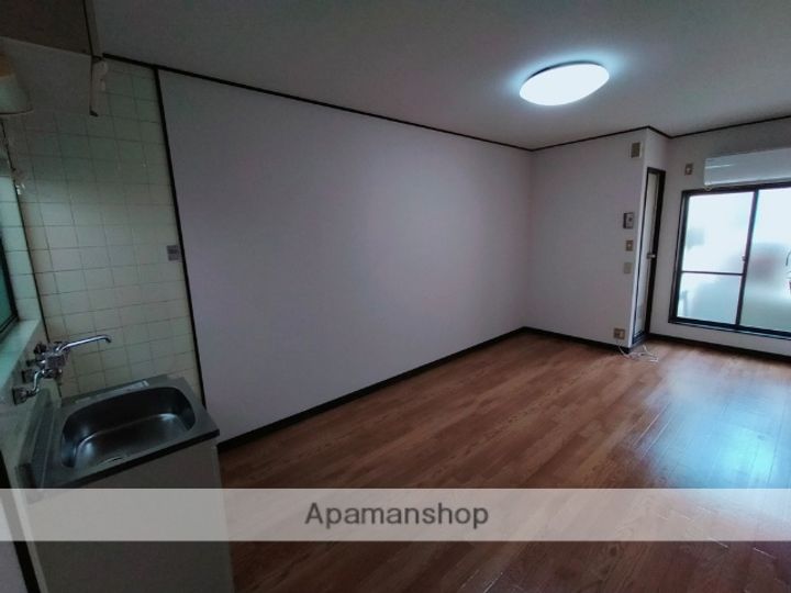 大阪府八尾市安中町5丁目の賃貸マンションの内装