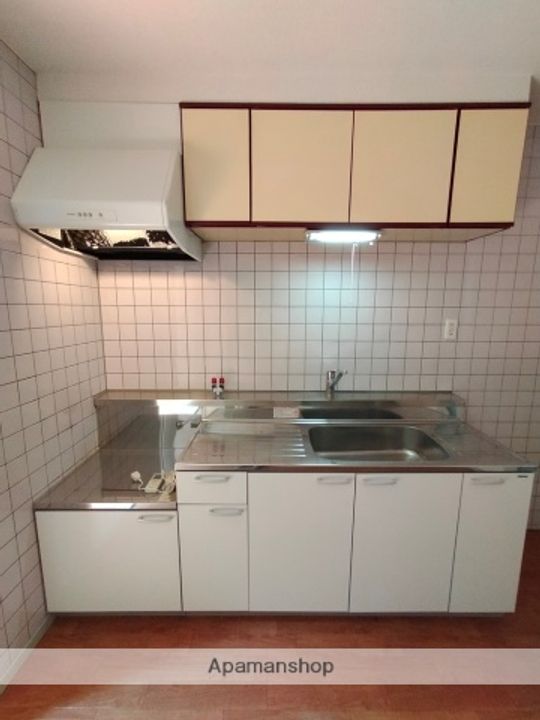 大阪府八尾市上尾町5丁目の賃貸マンション303のキッチン