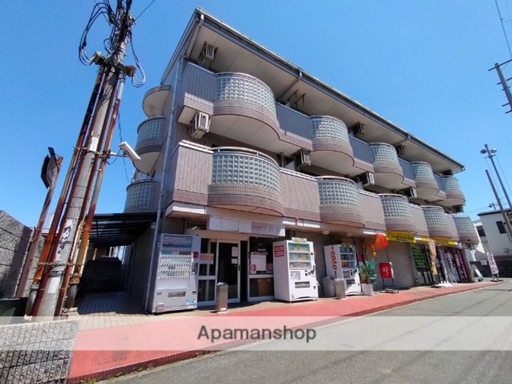 大阪府八尾市上尾町5丁目の賃貸マンション303の外観