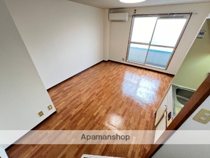 大阪府東大阪市花園本町1丁目の賃貸マンションの内装