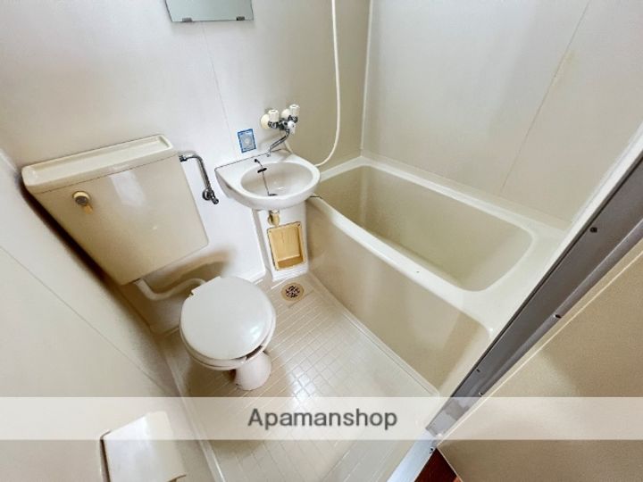 大阪府東大阪市花園本町1丁目の賃貸マンションの内装