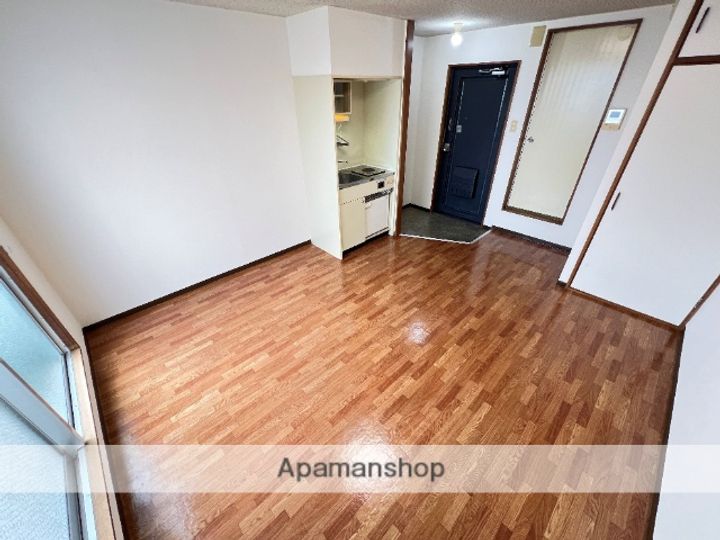 大阪府東大阪市花園本町1丁目の賃貸マンションの居間