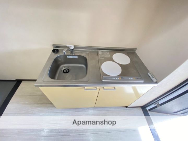 大阪府東大阪市岩田町4丁目の賃貸マンションのキッチン