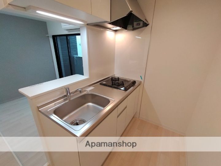 大阪府東大阪市金岡1丁目の賃貸マンションのキッチン