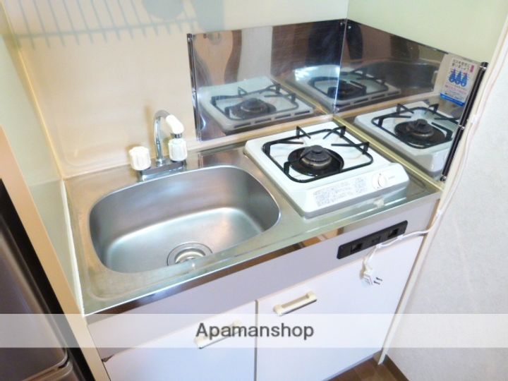 大阪府東大阪市長田中1丁目の賃貸マンションのキッチン