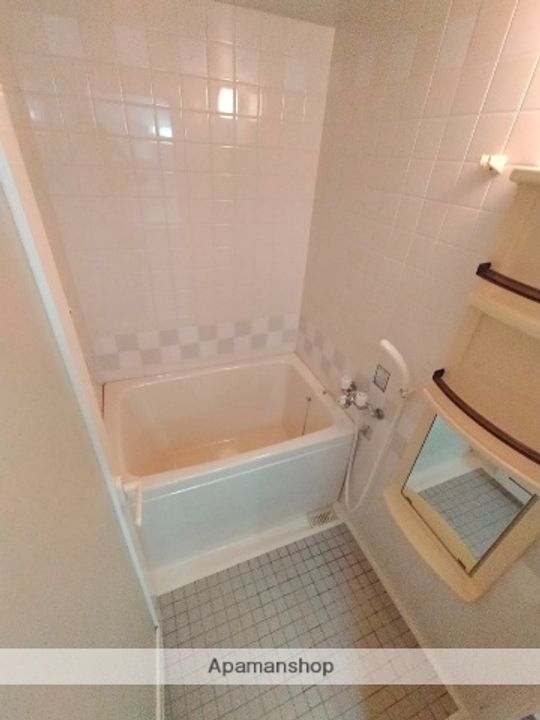 大阪府八尾市高美町1丁目の賃貸マンションの風呂