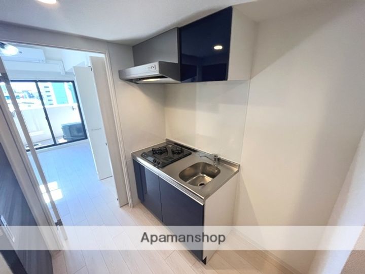 大阪府東大阪市岸田堂南町の賃貸マンションのキッチン