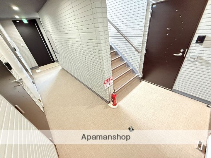 ルミエール放出のその他画像