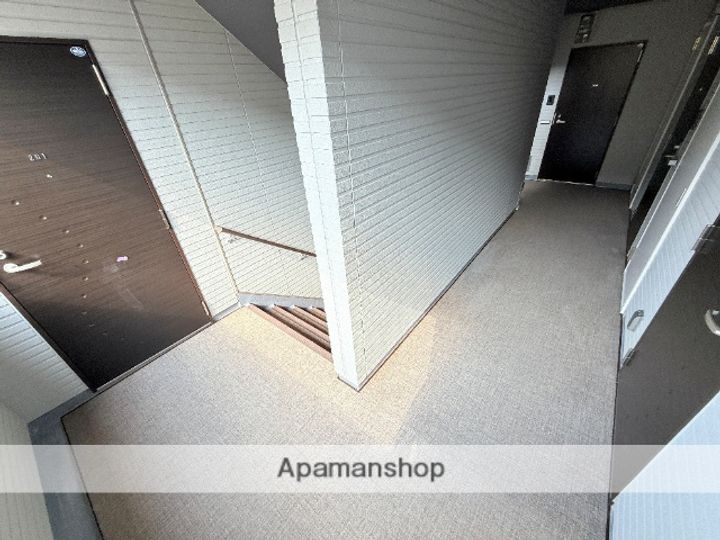 ルミエール放出のその他画像