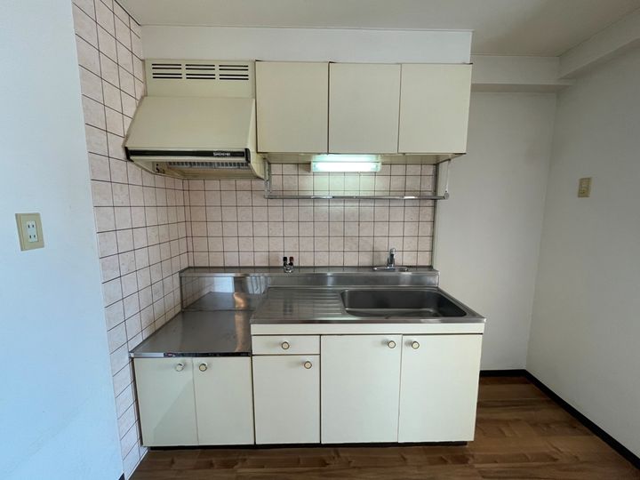 大阪府八尾市青山町3丁目の賃貸マンションのキッチン