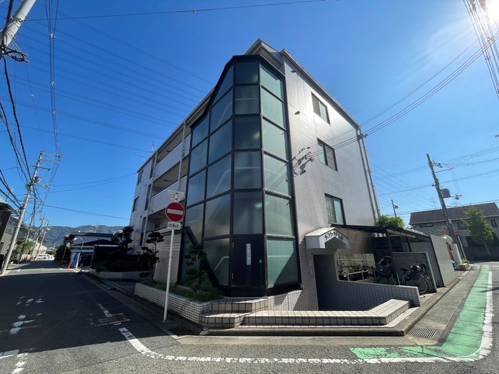 大阪府八尾市青山町3丁目の賃貸マンションの外観