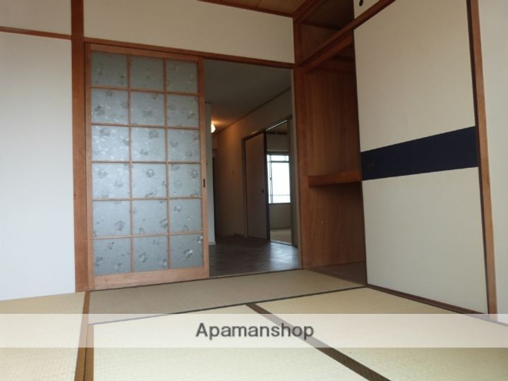 大阪府八尾市桜ヶ丘1丁目の賃貸マンションの内装