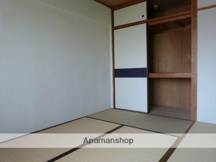 大阪府八尾市桜ヶ丘1丁目の賃貸マンションの内装