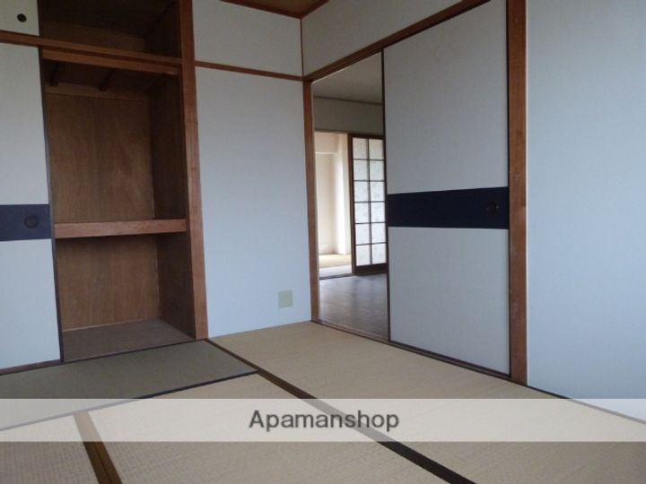 大阪府八尾市桜ヶ丘1丁目の賃貸マンションの内装