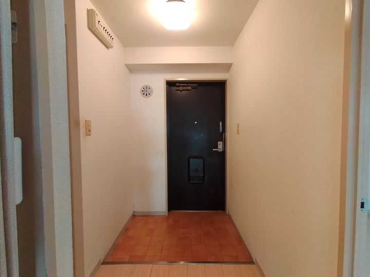 大阪府八尾市北本町1丁目の賃貸マンションの玄関