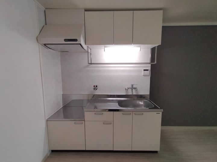 大阪府八尾市東山本新町2丁目の賃貸マンションのキッチン